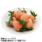 【予約】 栃木県産 とちあいか・スカイベリー セット 各1パック ※【6日後以降配送】