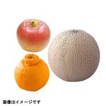【予約】 旬の果物盛合わせ 3点入 1盛 ※【6日後以降配送】