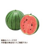 【予約】 熊本県などの国内産 大玉すいか M～Lサイズ 2個入 10kg 1箱 ※【6日後以降配送】