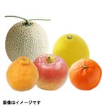 【予約】 旬の果物盛合わせ 5点入 1盛 ※【6日後以降配送】