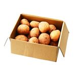 【予約】 鹿児島県などの国内産 新じゃがいも 1.8kg 1箱 ※【6日後以降配送】