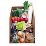 【予約】 お野菜セット（大）1箱 ※【6日後以降配送】