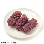 山梨県産 ぶどう（デラウェア）1パック 【7月10日～7月13日の受取り】