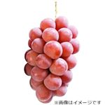長野県などの国内産 ぶどう（クイーンルージュ）1パック