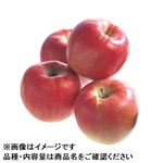 青森県などの国内産 理由ありりんご（早生ふじ）（大袋）1袋