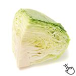 群馬県などの国内産 キャベツ 1／4カット