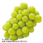 長野県などの国内産 ぶどう（シャインマスカット）1房入 1パック