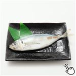 長崎県産他 真あじ 1尾　※水揚げ状況によりサイズ・価格が変更になる場合あり