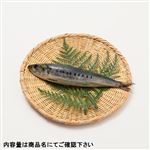 千葉県産他 生いわし（真いわしまたはうるめいわし）1尾　※水揚げ状況によりサイズ・価格が変更になる場合あり