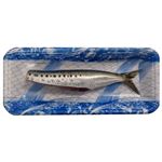 千葉県産他 生いわし（真いわしまたはうるめいわし）（頭取り）1尾　※水揚げ状況によりサイズ・価格が変更になる場合あり