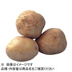 トップバリュ 北海道などの国内産 じゃがいも（カルビー）（ぽろしり袋）600g 1袋