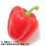 トップバリュグリーンアイ オーガニック 宮崎県などの国内産 パプリカ（赤）1個