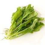トップバリュグリーンアイ オーガニック 茨城県などの国内産 ルッコラ 50g 1パック