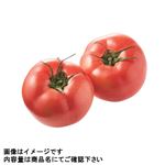 群馬県などの国内産 トマト 1パック