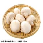 千葉県などの国内産 ジャンボマッシュルーム（ホワイト）1パック