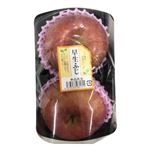 青森県などの国内産 りんご（早生ふじ）2個入 1パック
