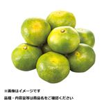 三重県産 みえの一番星みかん 1袋