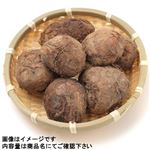 栃木県などの国内産 さといも（大パック）2Lサイズ 6個入 1パック