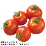 福島県などの国内産 ミディトマト（フルティカ）1パック