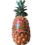 台湾産 パイナップル（極み）1株 ※【4月23日～4月27日配送限定】