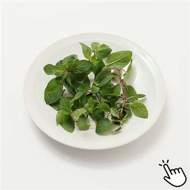 おうちでイオン イオンネットスーパー 茨城県などの国内産 Scペパーミント 1パック