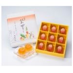 房洋堂 南房総びわゼリー 9個入