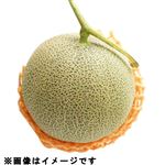 【北海道フェア予約】北海道産夕張メロン 1個【7／4～6お渡し】