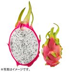 ベトナムなどの国外産 ドラゴンフルーツ（白）1個   【6／20～6／22お渡し】