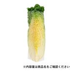 長野県などの国内産 はくさい 1／4カット