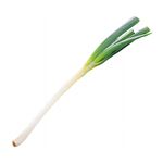 北海道などの国内産 長（白）ねぎ 1本