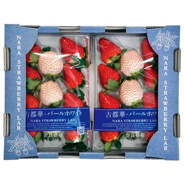 おうちでイオン イオンネットスーパー 予約3 3 3 9お届け 奈良県産 紅白いちごセット パールホワイト 古都華 1箱 2パック入り おうちでイオン イオンネットスーパー 予約3 3 3 9お届け 奈良県産 紅白いちごセット パールホワイト 古都華 1箱 2パック入り