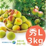 【予約】和歌山県産JAわかやま（紀州地域本部） 南高梅 秀 L 3kg 1箱 ※30点限り 【6月6日~6月8日のお受取り】