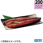 【予約】 【冷凍】 宮崎県産 八本木樽うなぎ蒲焼 大 1尾 【7月17日～7月19日のお受取り】