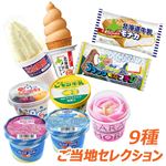 旅する9種のご当地アイスセレクション（沖縄紅芋・塩ちんすこう・白くま・ブラックモンブラン・高原ソフト・レモン牛乳・ババヘラアイス・メロンソフト・牛乳モナカ） 計9品