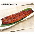 静岡浜名湖鰻蒲焼真空長焼 1パック 【7月10日～7月19日のお受取り】