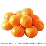 和歌山県などの国内産 みかん特大パック（2.5kg）1パック 【12月5日～12月7日のお受取り】