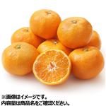 和歌山県などの国内産 有田みかん大袋 1袋 【11月20日～11月24日のお受取り】