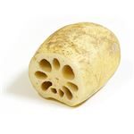 茨城県などの国内産 洗いれんこん300g（100gあたり（本体）78円） 【12月8日～12月10日のお受取り】