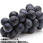 山梨県などの国内産 たねなし巨峰ぶどう 1房 【8月22日～8月24日のお受取り】