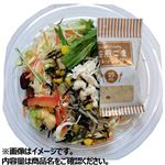 18品目バランスサラダ