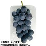 山梨県などの国内産 たねなし巨峰ぶどう産地パック 1パック 【8月4日～8月5日のお受取り】