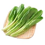 静岡県などの国内産 小松菜 1袋 【9月15日～9月16日のお受取り】