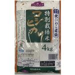 トップバリュ 滋賀県産 特別栽培米 コシヒカリ 4kg