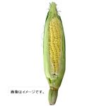 トップバリュ グリーンアイ オーガニック 和歌山県 などの国内産 とうもろこし 1本 1袋