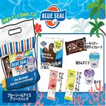 【予約商品】【冷凍】ブルーシール ハッピーパック 1袋 【6月1日（水）～5日（日）の配送】