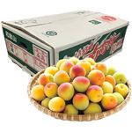 【予約】和歌山県産（JA紀南）南高梅 5kg箱（大玉・2Lサイズ）1箱 【6／10－14配送】