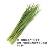 高知県などの国内産 にら 1袋 【4月18日～4月20日のお受取り】