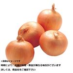 トップバリュ減の恵み 和歌山県 などの国内産 たまねぎ 3～4個入 1袋
