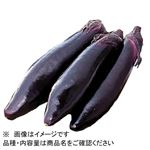 福岡県などの国内産 トップバリュ なす 1袋 【4月18日～4月20日のお受取り】