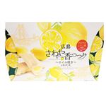金萬堂本舗 広島さわや香つつみ～ホイル焼き～ 9個